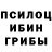 Галлюциногенные грибы прущие грибы Marusya V.G.
