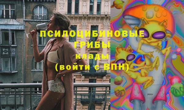прущие грибы Абаза