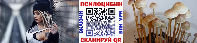 где продают   Трубчевск  гидра ссылки  Псилоцибиновые грибы ЛСД 