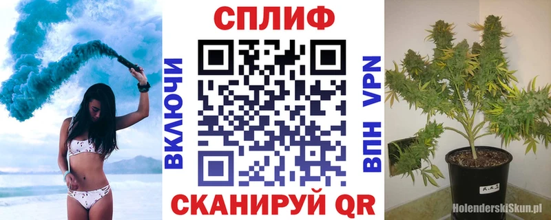 Бошки марихуана конопля  Трубчевск 